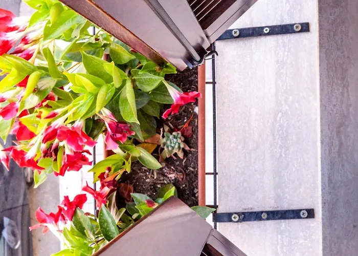 住宿加早餐酒店 Piazza Noua 1831